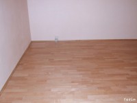 /album/pokladka-drevenej-podlahy/a2010-0306podlahy0032-jpg1/